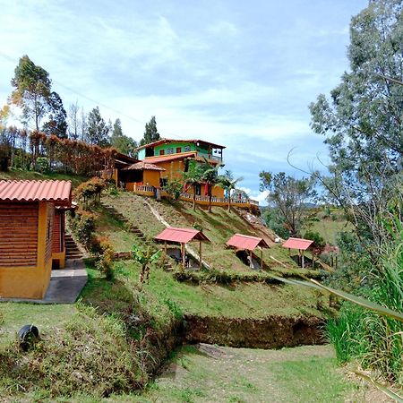 Vista Hermosa Eco Hostal Carmen de Viboral Екстер'єр фото