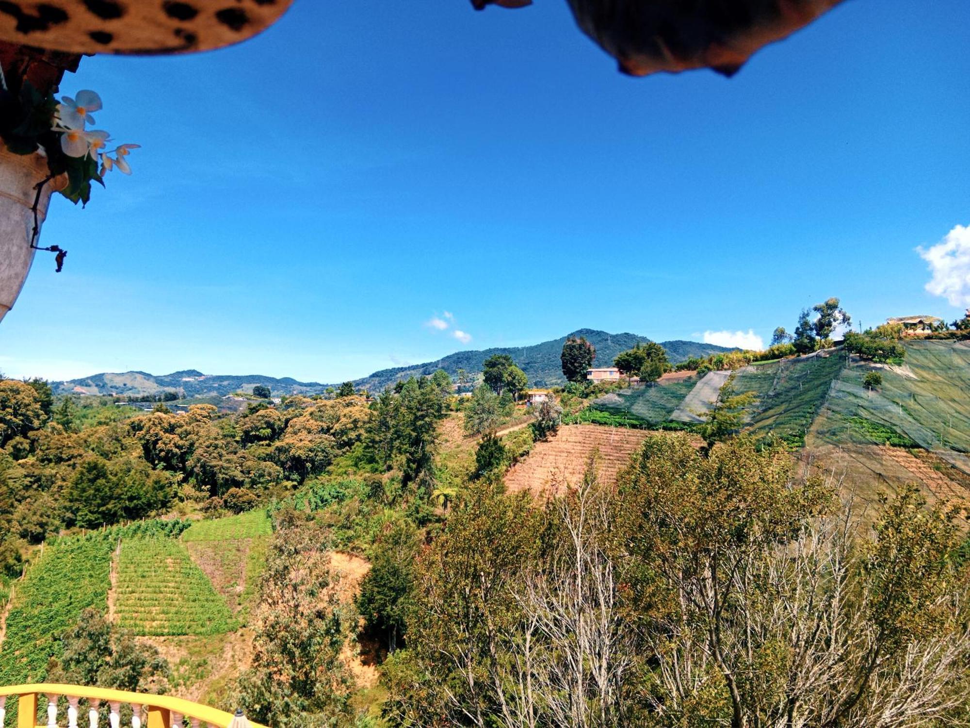 Vista Hermosa Eco Hostal Carmen de Viboral Екстер'єр фото